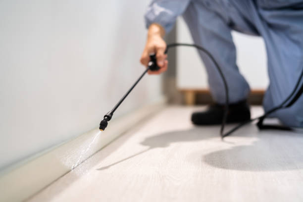 Licensed Rodent Control service in Skagway Municipality County, AK - Nex Pest Control